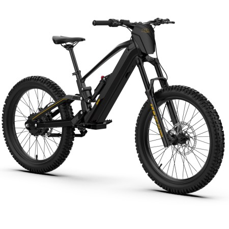 Bicicleta eléctrica RFN EVO PRO 24” 1000W 48V 2