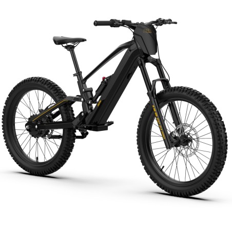 Bicicleta eléctrica RFN EVO PRO 24” 1000W 48V