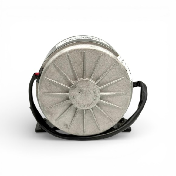 Motor eléctrico 150W 24V con pletina WARRIOR150