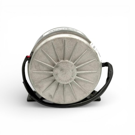 Motor eléctrico 150W 24V con pletina WARRIOR150