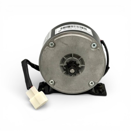 Motor eléctrico 150W 24V con pletina WARRIOR150 2