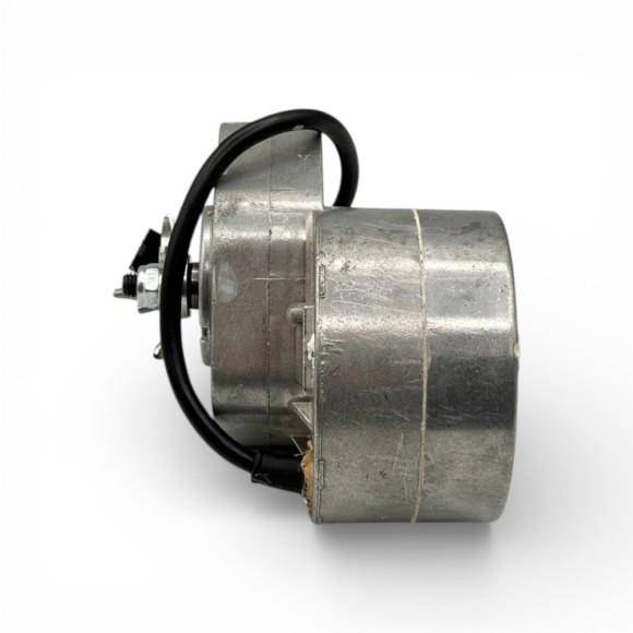 Motor eléctrico 350W 36V con piñón 10 dientes WarriorE350