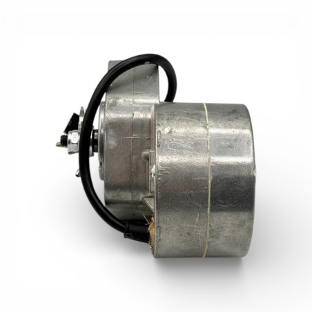 Motor eléctrico 350W 36V con piñón 10 dientes WarriorE350