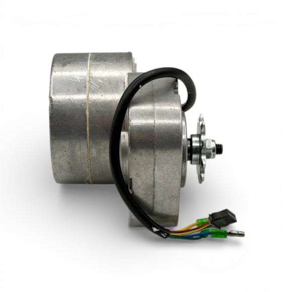 Motor eléctrico 350W 36V con piñón 10 dientes Warrior