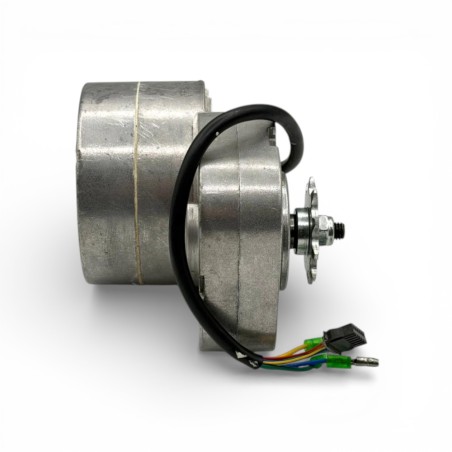 Motor eléctrico 350W 36V con piñón 10 dientes Warrior