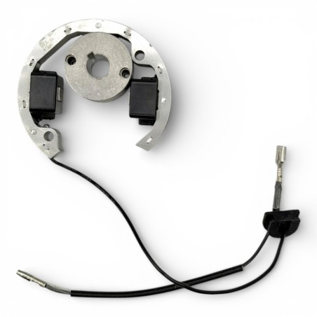 Encendido pit bike R50 - Roanracing.com