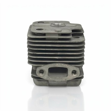 Cilindro 48 mm para Minicross Roan RXT 65cc 2T Original 2