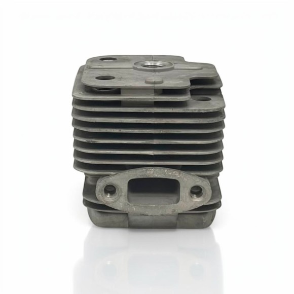 Cilindro 48 mm para Minicross Roan RXT 65cc 2T Original