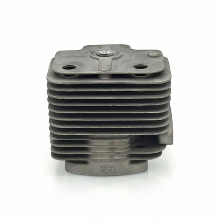 Cilindro 48 mm para Minicross Roan RXT 65cc 2T Original