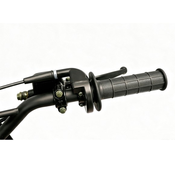 Pit Bike Dorado DMX 125cc 17/14" Refrigeración por Aire - roanracing.com