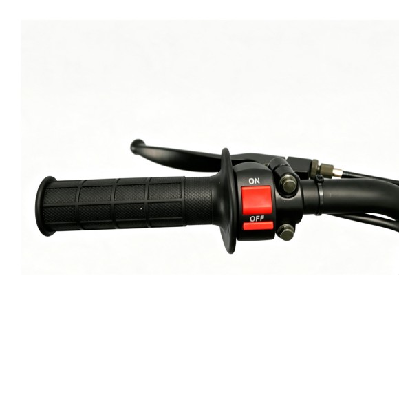 Pit Bike Dorado DMX 125cc 17/14" Refrigeración por Aire - roanracing.com