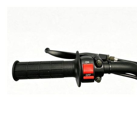 Pit Bike Dorado DMX 125cc 17/14" Refrigeración por Aire - roanracing.com