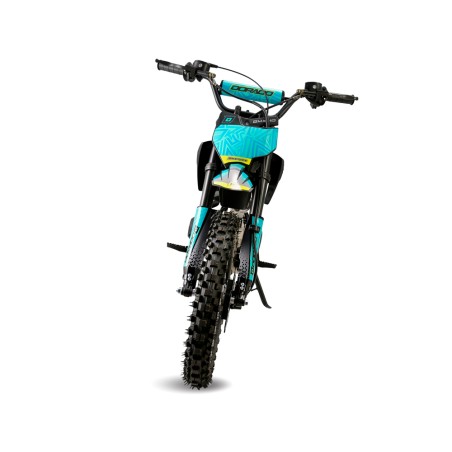 Pit Bike Dorado DMX 110cc 4T 14/12" Automática - roanracing.com