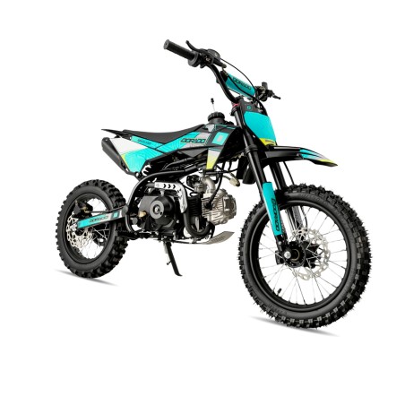 Pit Bike Dorado DMX 110cc 4T 14/12" Automática - roanracing.com