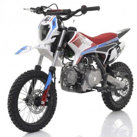Pit bike 110cc automático 14/12" Apollo Thunder arranque eléctrico - Roanracing.com