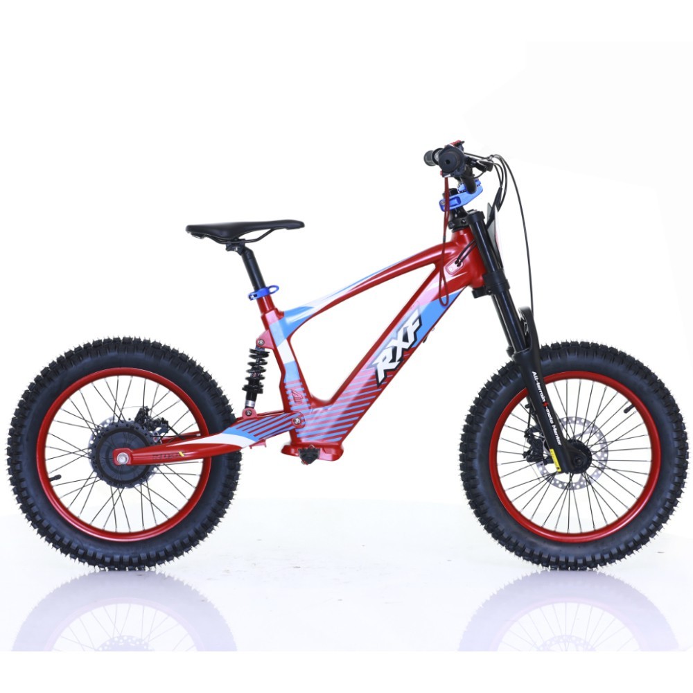 Bicicleta sin pedales 18" 500W 36V 5.0Ah RXF EVO - Roanracing.com