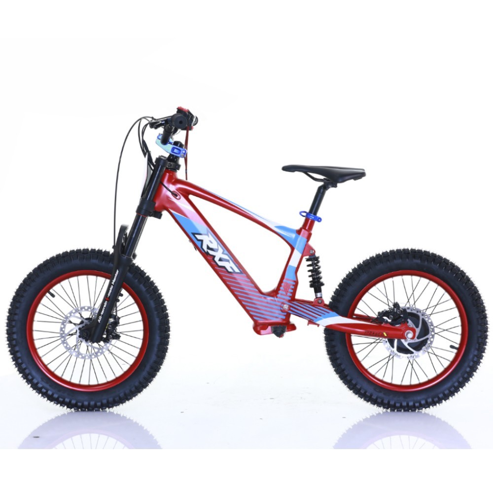 Bicicleta sin pedales 18" 500W 36V 5.0Ah RXF EVO - Roanracing.com