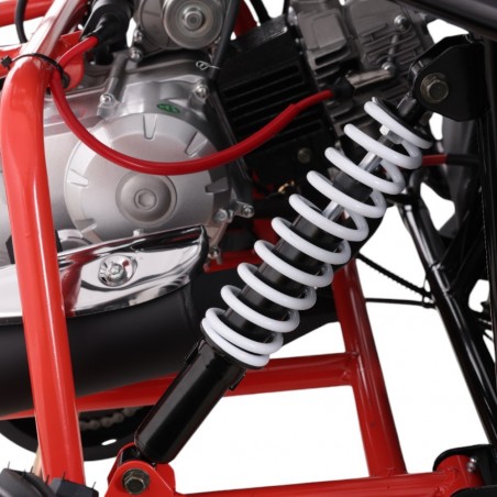 BUGGY ROAN TRITON 125CC PARA NIÑOS - Roanracing.com