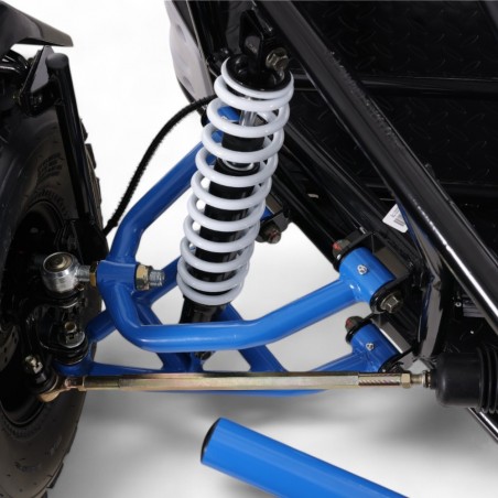 BUGGY ROAN TRITON 200CC 4T R8 - Roanracing.com