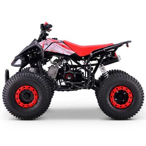 Quad gasolina 110cc pantera ROAN R8 automático con marcha atrás - Roanracing.com 2