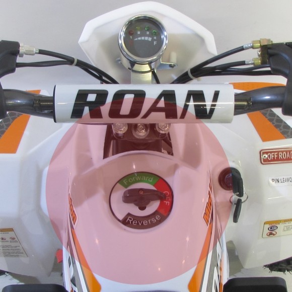 Pegatina selector de marcha miniquad eléctrico - Roanracing.com