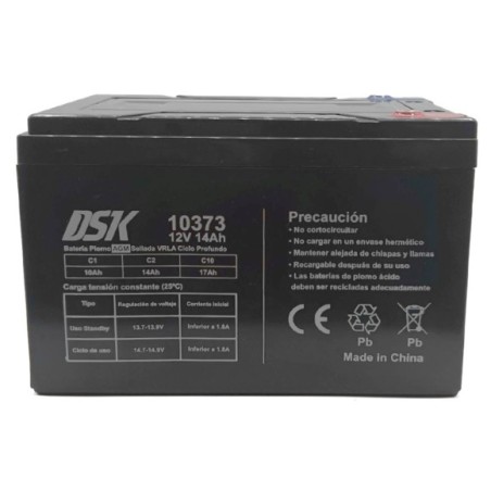 Batería 12V 14Ah DSK vehículo eléctrico - Roanracing.com