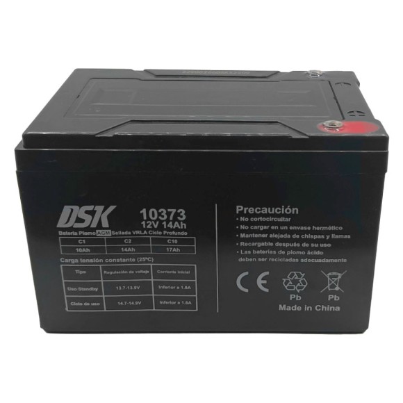 Batería 12V 14Ah DSK vehículo eléctrico - Roanracing.com