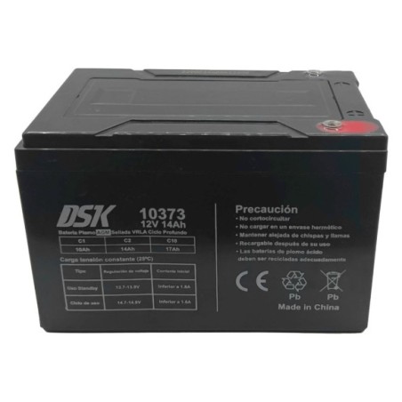 Batería 12V 14Ah DSK vehículo eléctrico - Roanracing.com