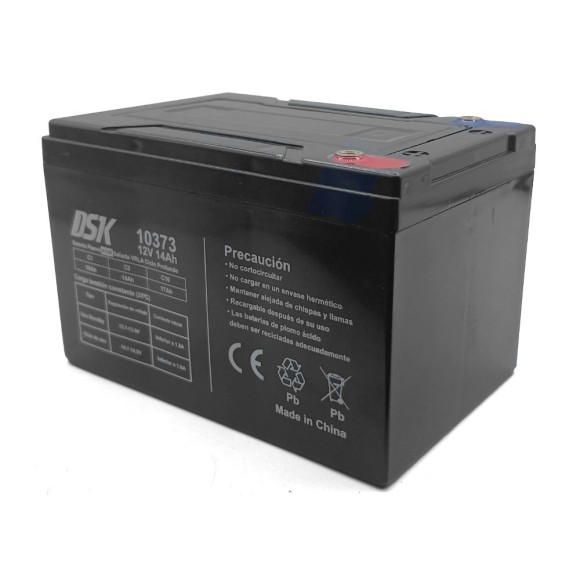 Batería 12V 14Ah DSK vehículo eléctrico - Roanracing.com