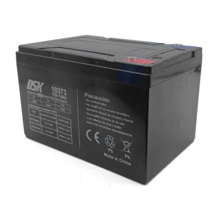 Batería 12V 14Ah DSK vehículo eléctrico - Roanracing.com