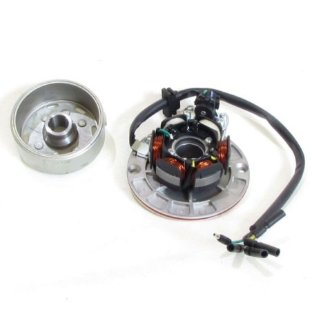 Encendido completo pit bike YX - Roanracing.com