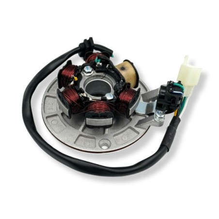 encendido 6b pit bike - Roanracing.com