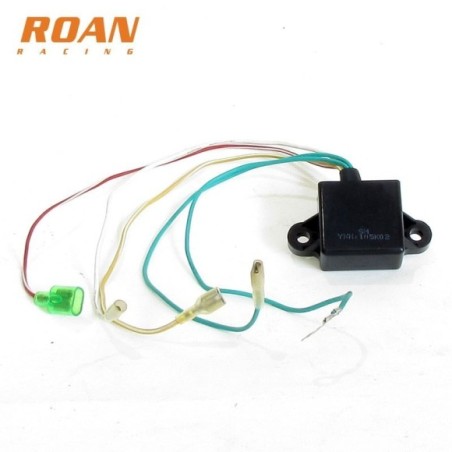 CDI Rotor Pit Bike - Roanracing.com