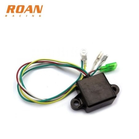 CDI Rotor Pit Bike - Roanracing.com