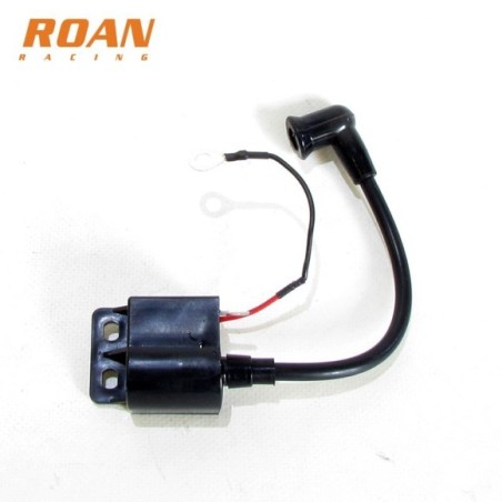 Bobina de alta 2T r50 - Roanracing.com