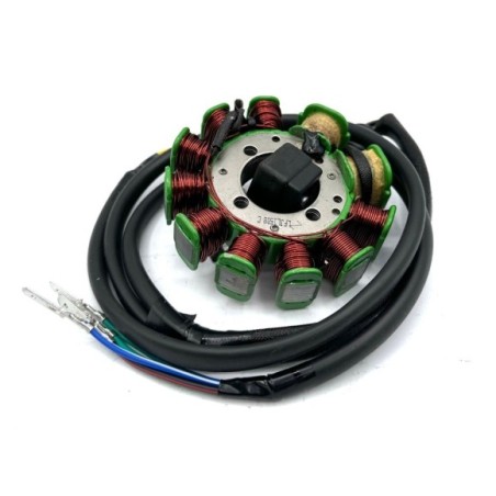 Encendido 11 bobinas - Roanracing.com
