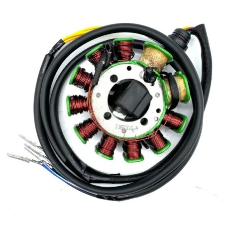 Encendido 11 bobinas - Roanracing.com