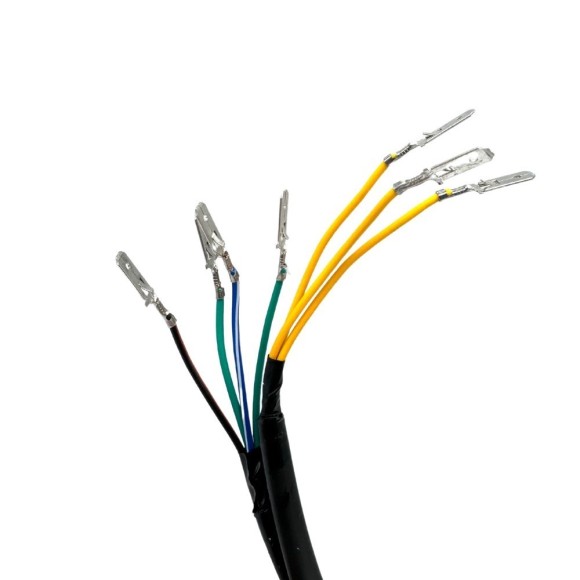 Encendido 11 bobinas - Roanracing.com