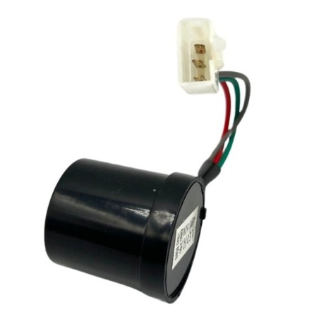 Regulador intermitente 3Pin 48/60V