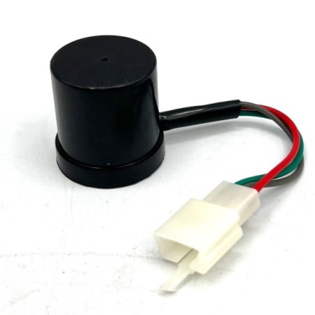 Regulador intermitente 3Pin 48/60V