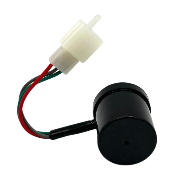 Regulador intermitente 3Pin 48/60V