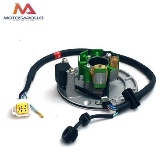 Encendido 2 bobinas con base Zongshen pit bike 155cc Roanracing.com
