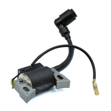 Bobina de alta motor 4 tiempos 80cc buggy - Roanracing.com