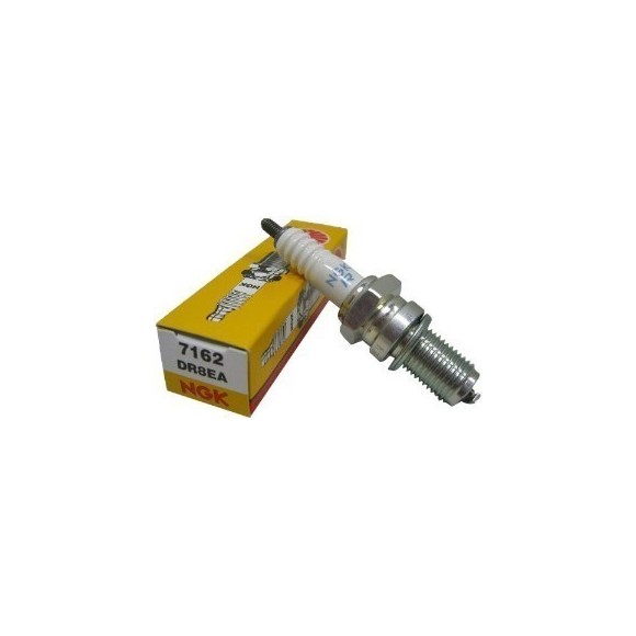 Bujia Pit Bike NGK DR8EA 7162 4T - 1
