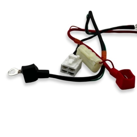 CABLEADO ELÉCTRICO PIT BIKE RFN 90 PARA OTRAS PIT BIKE SIMILARES.