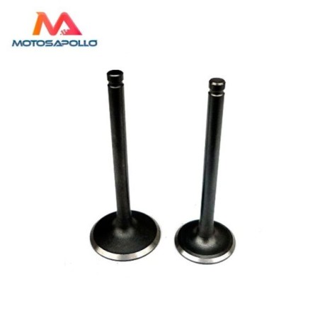 Valvulas 110cc 20/23mm - Roanracing.com