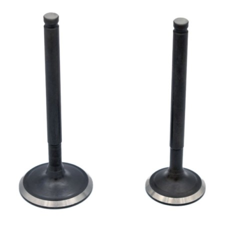 Juego válvulas 150-160cc 28/23mm - Roanracing.com