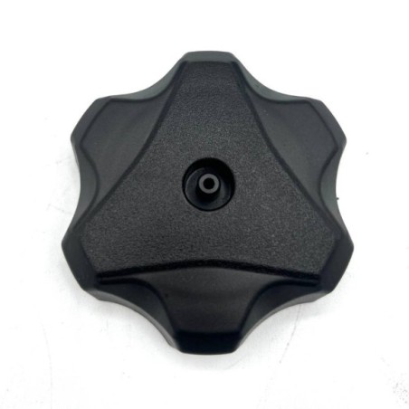 Tapon deposito Pit bike Thunder 250-Roanracing.com