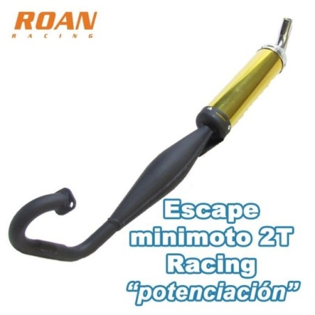 Escape minimoto 2T racing