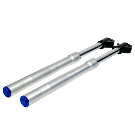 JUEGO HORQUILLA INVERTIDA 48/48/770mm PIT BIKE RFZ